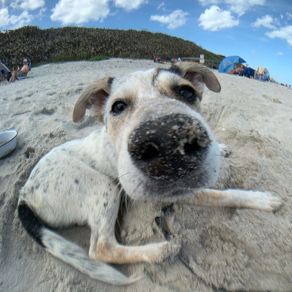 Meet your Posher, Domenica